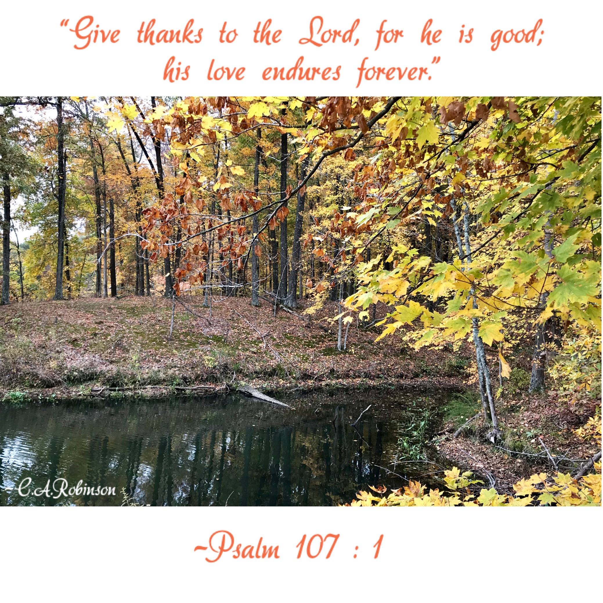 738E46AB-2CA8-495C-8E6A-882A356AE6ED