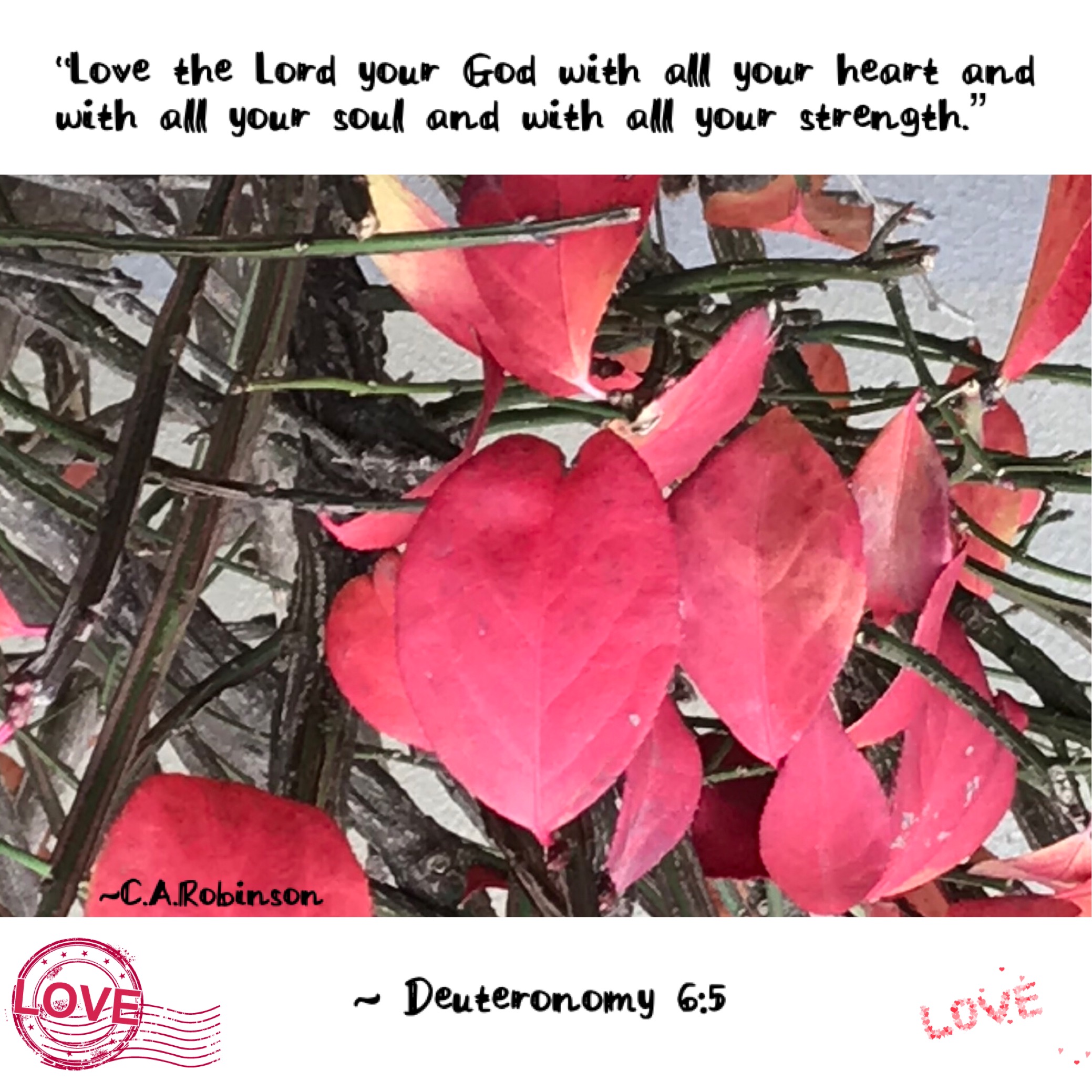 96950643-1DD9-4B59-A384-747B85E34AF2