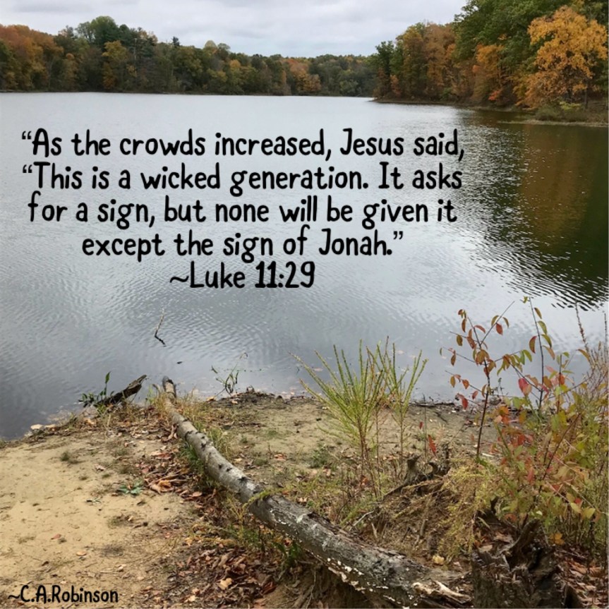 0E19E1DA-24C6-4B22-ABAF-EFB3371F7C3E