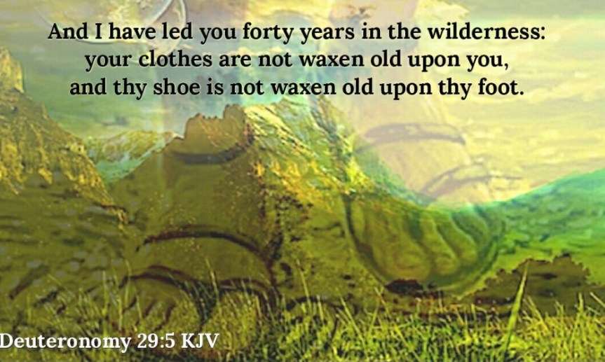 2EE4F9EA-394B-4FA0-B567-1E79C304CF5C