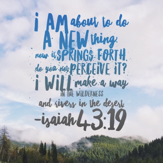 46A333CD-0D3F-4FB7-AB31-7BCA38BA1AED