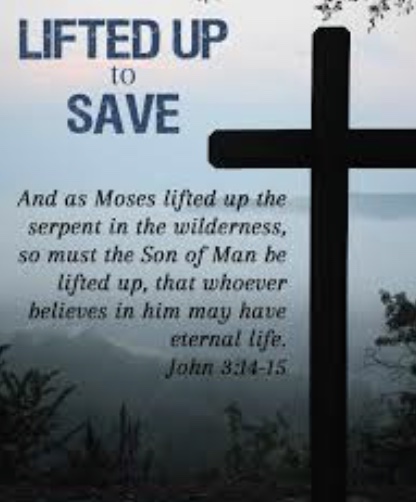 7EB81382-945C-4A62-B7E5-074090BBBC9A