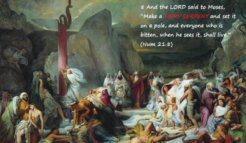 88118087-BC1D-4E75-816A-E77AF68735C2