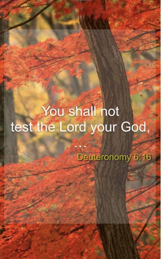 The Wilderness and Divine Testing – Day 2 – DISCOVER