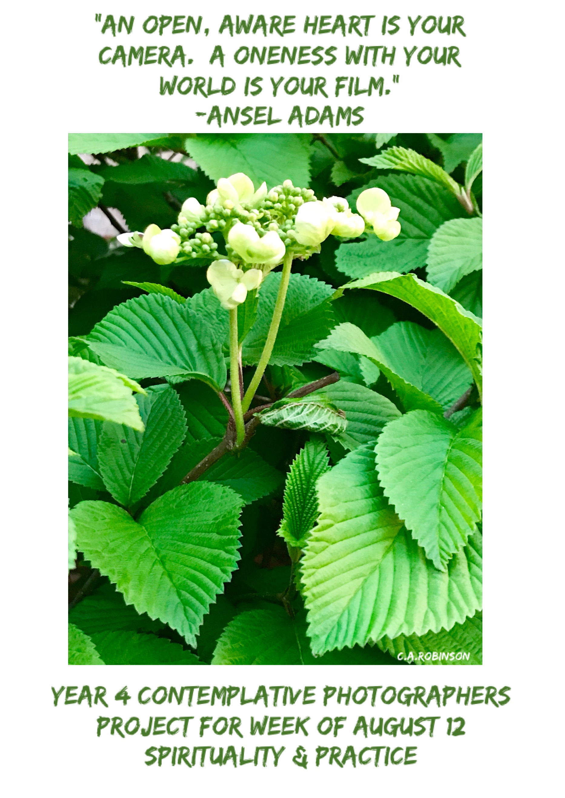 1C9CFFCF-7112-438A-A87A-D6E5F7499233