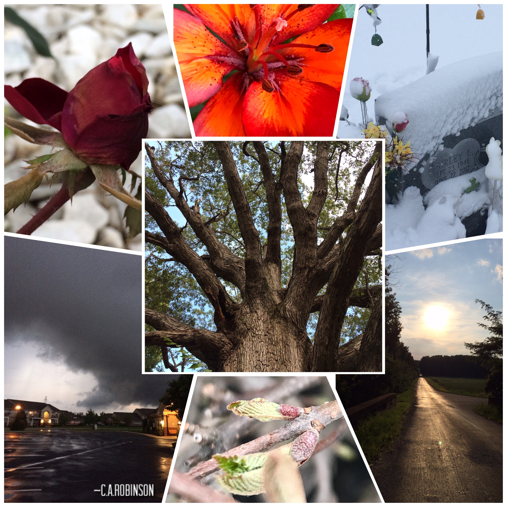 8EDFA4B7-19BF-411B-8FCF-9075A9D499C1