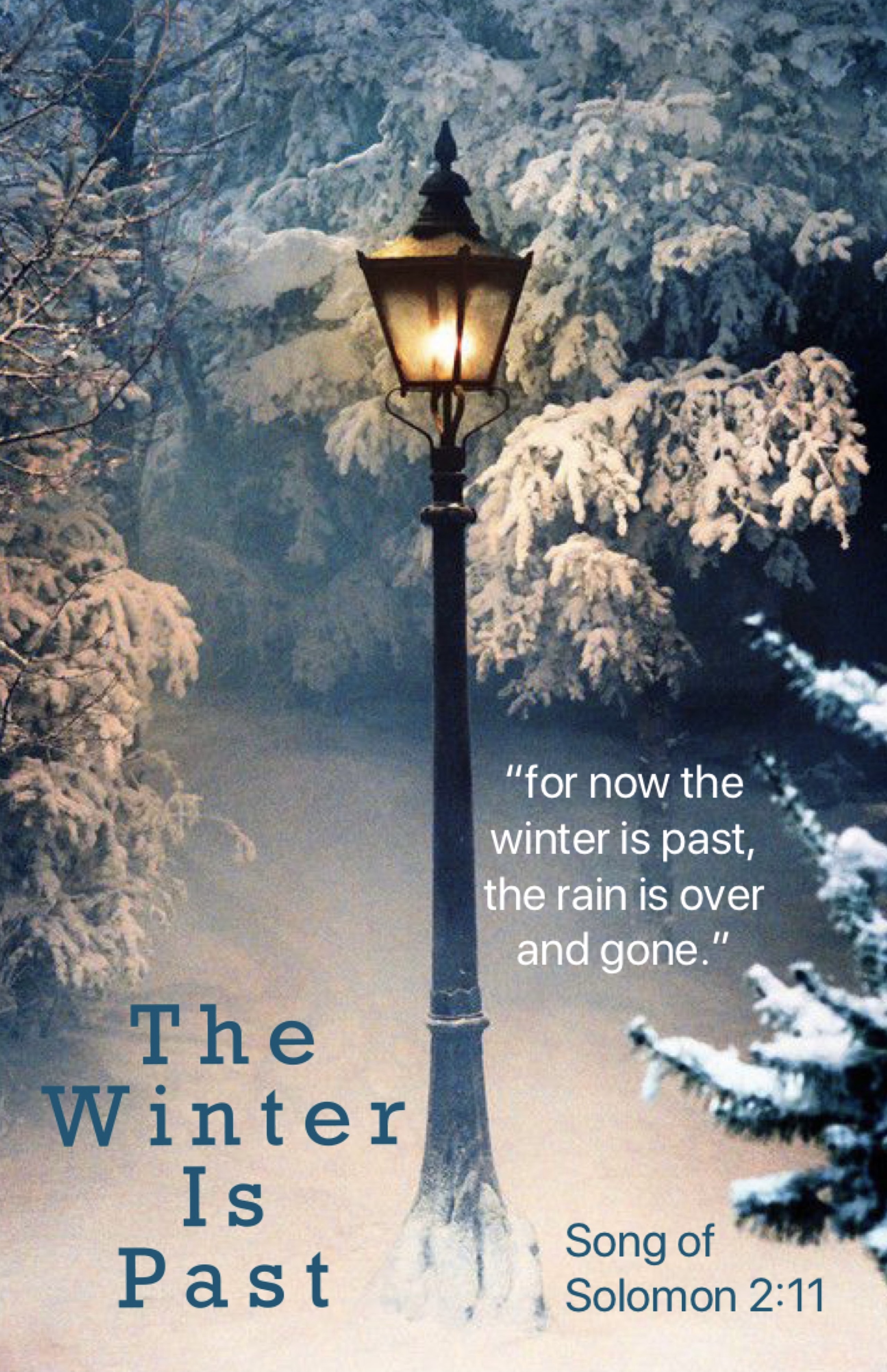 Advent in Narnia: The Winter Is Past – DISCOVER